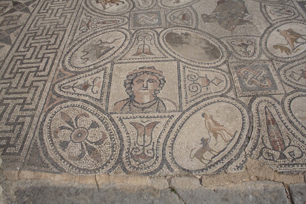 11-Beautifull preserved mosaic.jpg - Beautifull preserved mosaic